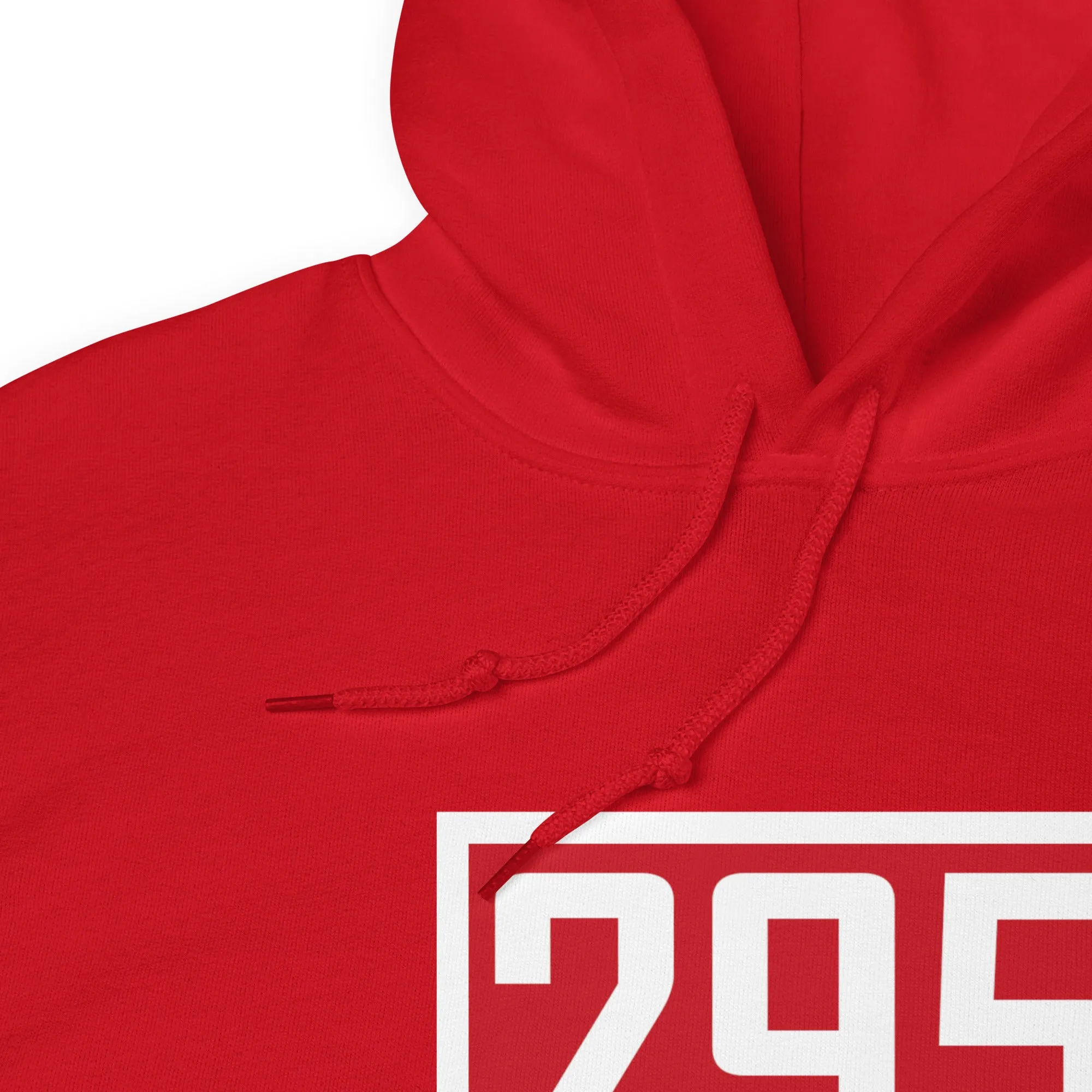 295 Unisex Hoodie