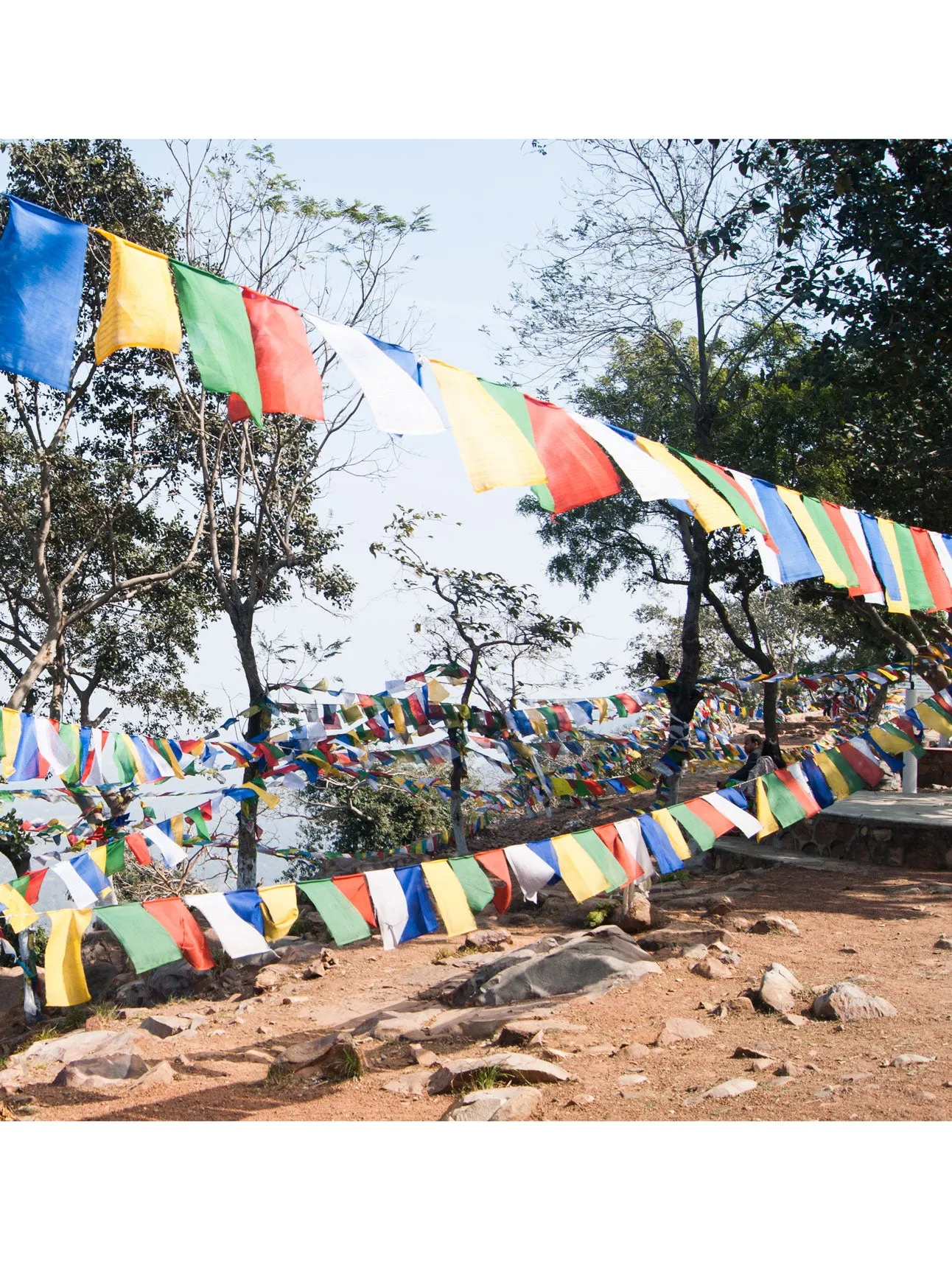 Blue Medicine Buddha Prayer Flags