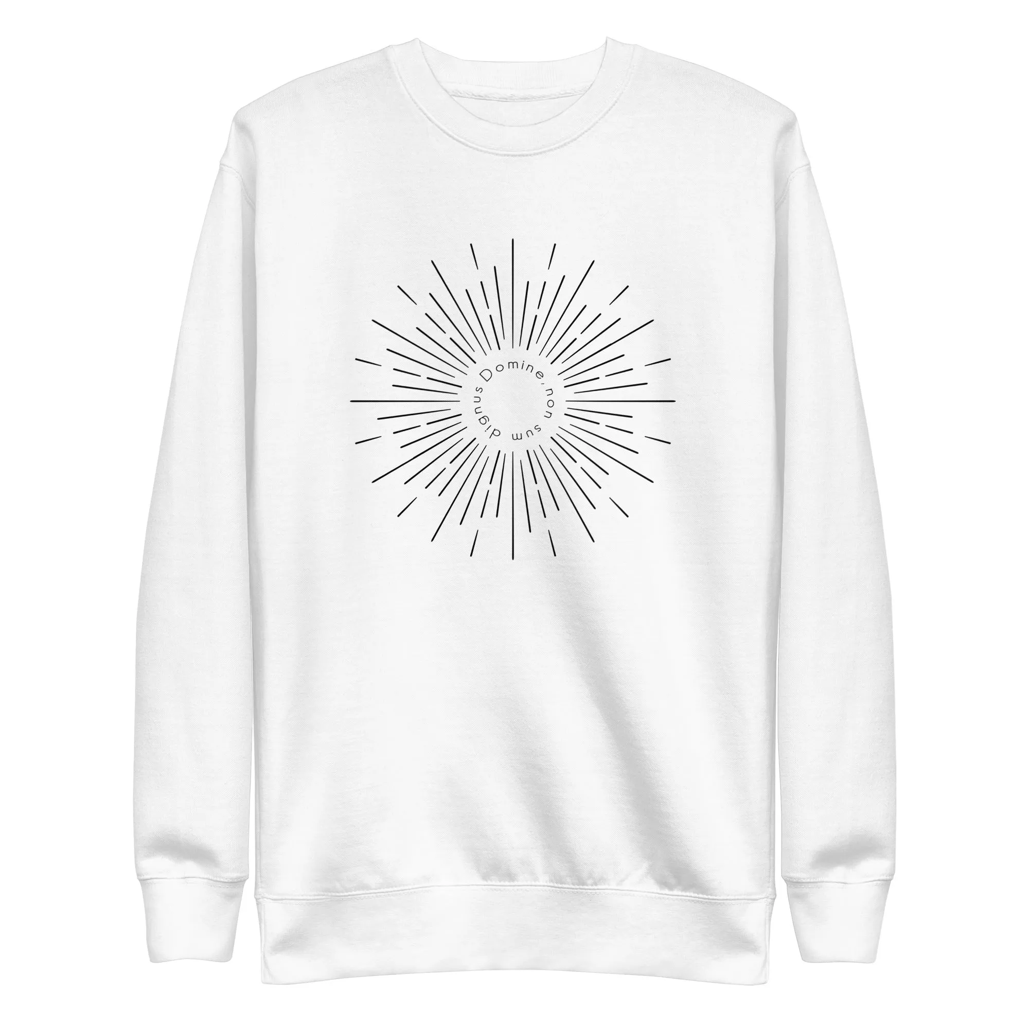 Catholic sweatshirt, Domine non sum dignus