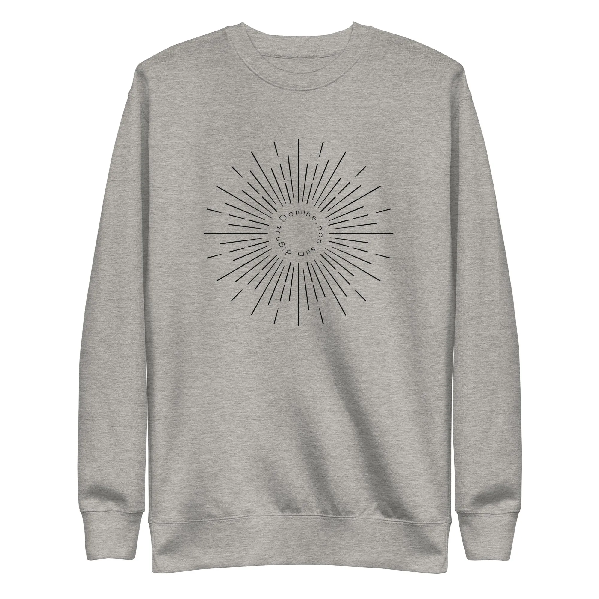 Catholic sweatshirt, Domine non sum dignus