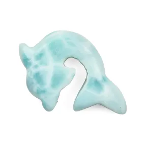 Larimar Dolphin