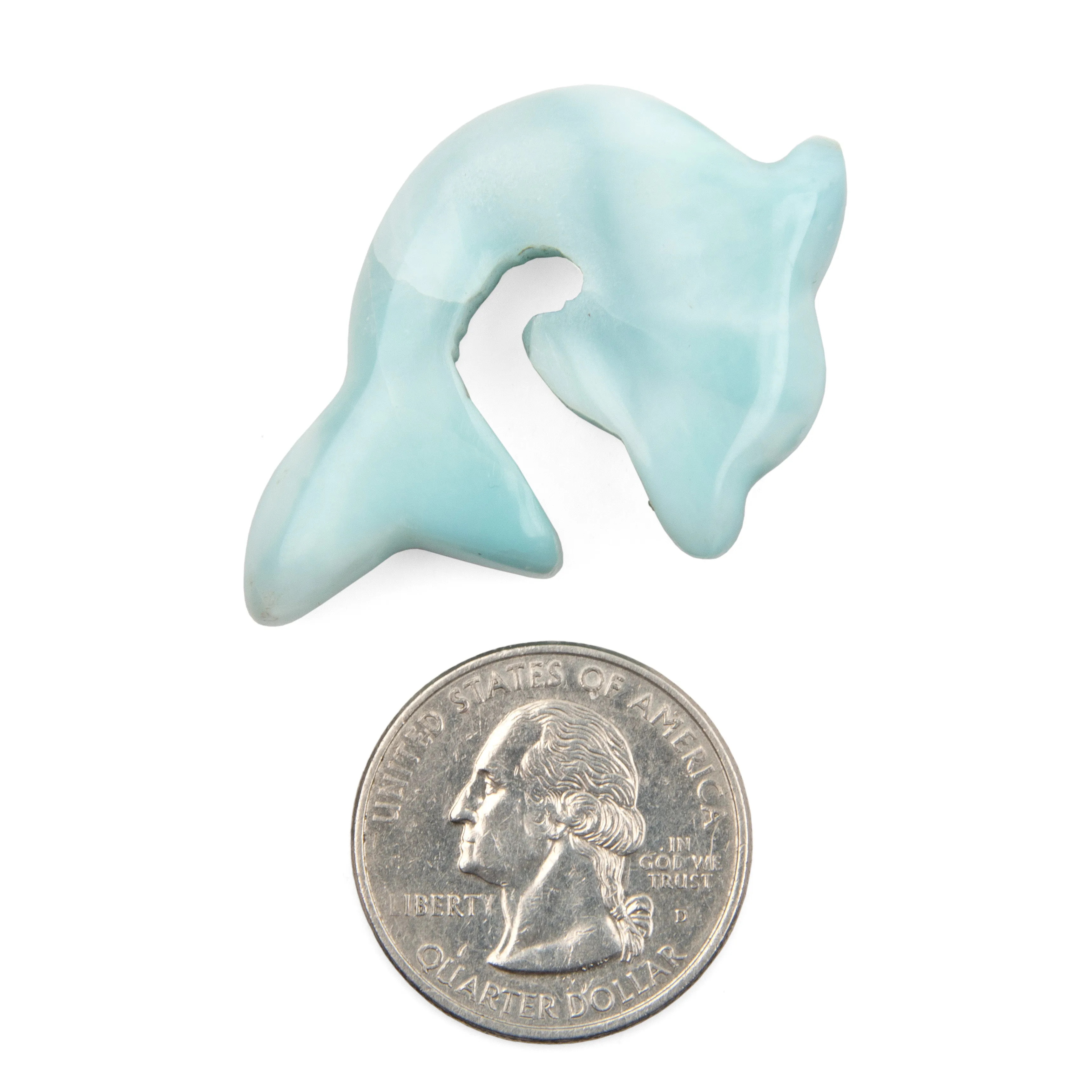 Larimar Dolphin